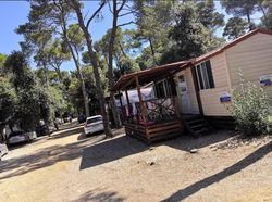Herzl Mobile Home Camp Soline