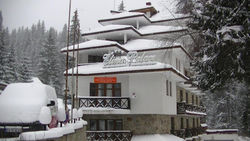 Mountain Chalets - Elina Palace