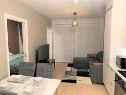 Cosy Apartment right beside Oslo indoor-Ski Hall (Ski All year round)